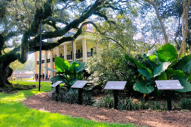 Oak Alley Plantation Tour with Transportation from New Orleans - Who Should Book This, and Who Might Want a Different Style