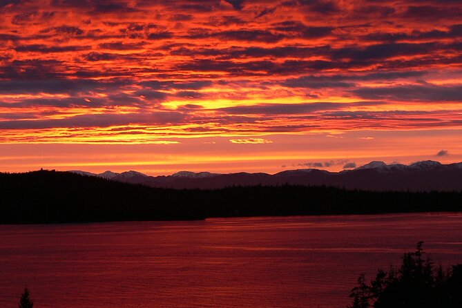 Off the Beaten Path Ketchikan Photo Safari - 3 hr. - Totem Heritage Center and Potlatch Totem Park: Photos With Meaning