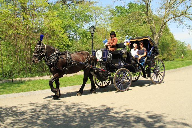 Official NYC Horse Carriage Rides in Central Park since 1979 ™ - Key points that make this ride worth your time