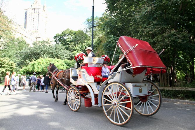 Official NYC Horse Carriage Rides in Central Park since 1979 ™ - A romantic, practical way to see Central Park fast