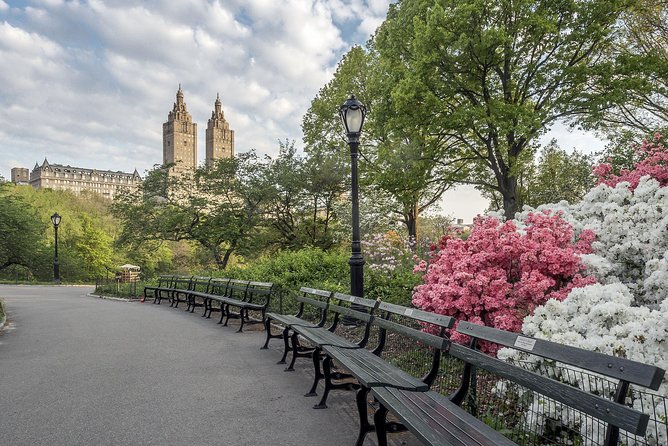 Official NYC Horse Carriage Rides in Central Park since 1979 ™ - What makes the driver experience so good (and what to ask for)