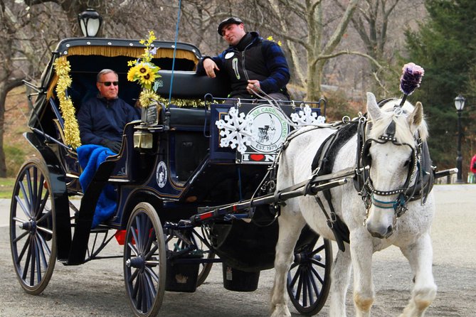 Official NYC Horse Carriage Rides in Central Park since 1979 ™ - Blankets, horse treats, and comfort you’ll actually feel