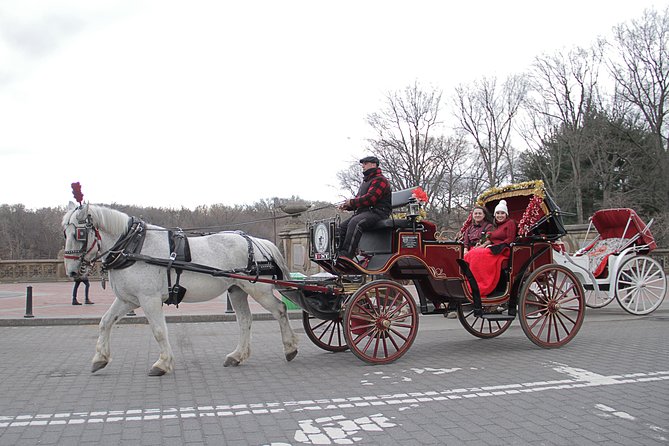 Official NYC Horse Carriage Rides in Central Park since 1979 ™ - Timing and weather: when daylight helps, and when you should plan to be flexible