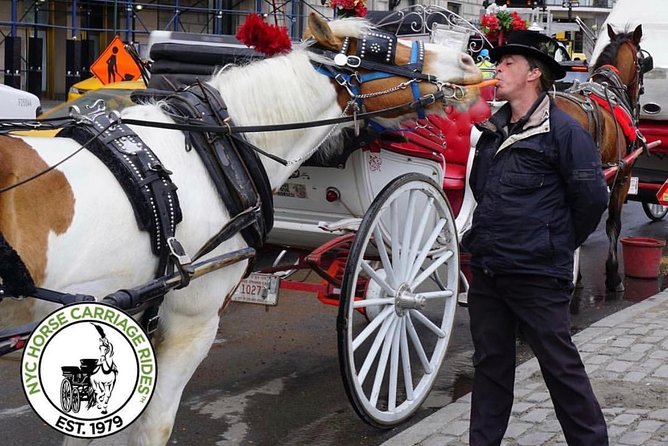 Official NYC Horse Carriage Rides in Central Park since 1979 ™ - Who should book this private carriage ride?
