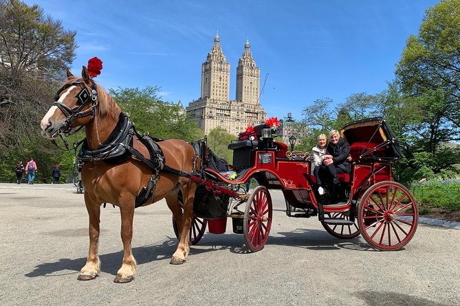 Official NYC Horse Carriage Rides in Central Park since 1979 ™ - Meeting point at 7th Ave and West 59th, and how to keep the day smooth