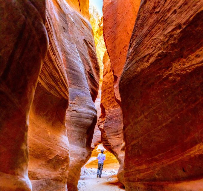 Orderville: East Zion Park White Mountain Horseback Tour - East Zion, Horses, and a Slot Canyon Walk in 1 Hour