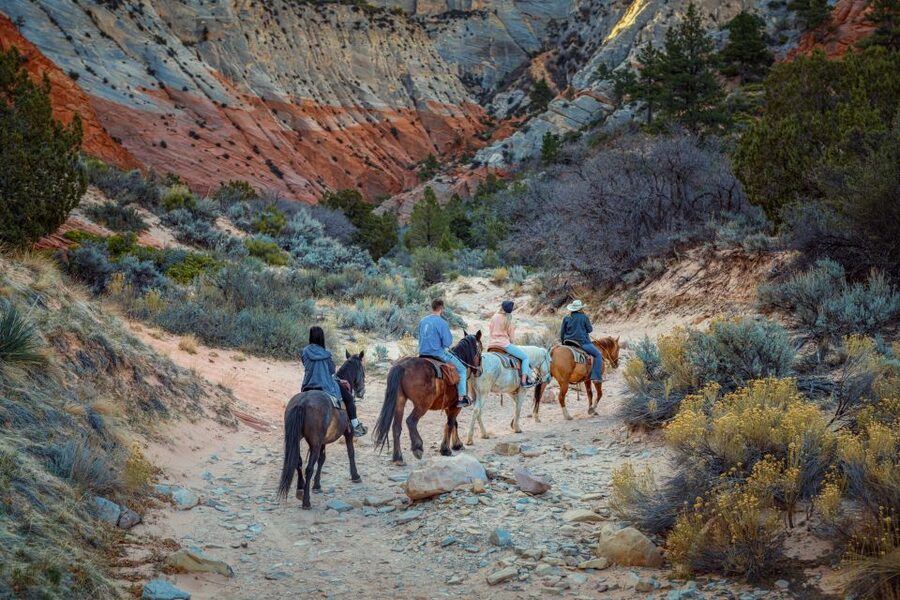 Orderville: East Zion Park White Mountain Horseback Tour - The Slot Canyon Stop: How to Enjoy Those Red-Rock Walls