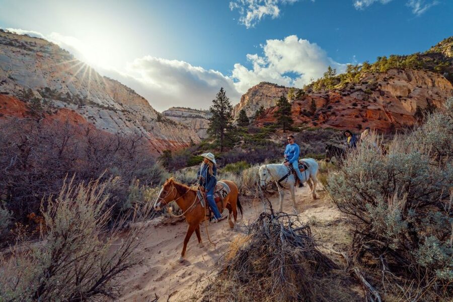 Orderville: East Zion Park White Mountain Horseback Tour - Price and Value: Why $67 for This 1-Hour Tour Adds Up
