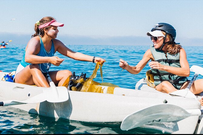 Original La Jolla Sea Cave Kayak Tour for Two - La Jolla Sea Caves: Why This Kayak Tour Feels Special