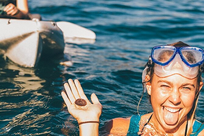 Original La Jolla Sea Cave Kayak Tour for Two - Stop 2 Everyday California: Wildlife, Habitats, and Conservation Talk