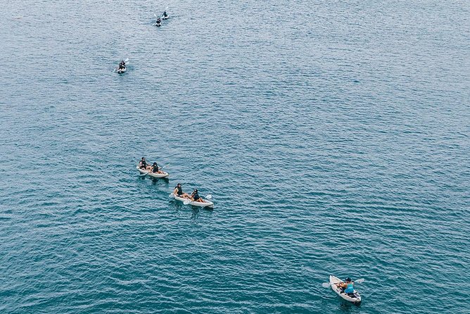 Original La Jolla Sea Cave Kayak Tour for Two - Value and Price: What $109 Covers, and What Can Cost Extra