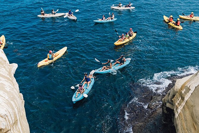 Original La Jolla Sea Cave Kayak Tour for Two - From Check-in to Paddling Out: The 90 Minutes, Real-World