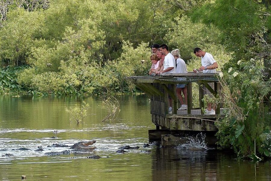 Orlando: Gatorland Skip-the-Line Ticket - Price and value reality: $37 buys entry and shows, not everything
