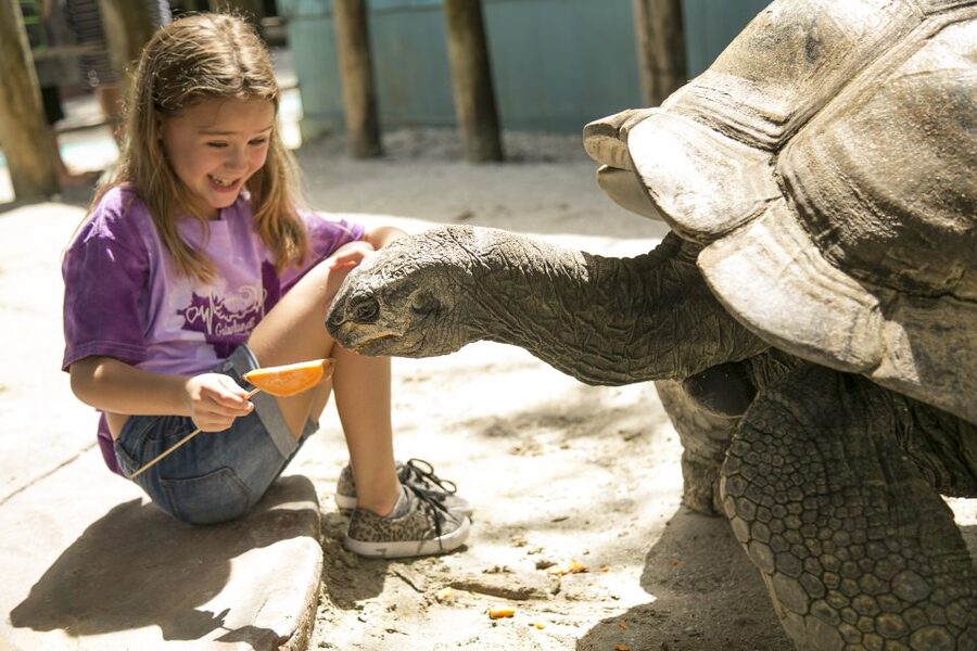 Orlando: Gatorland Skip-the-Line Ticket - Gatorland day basics, and what the skip-the-line saves you