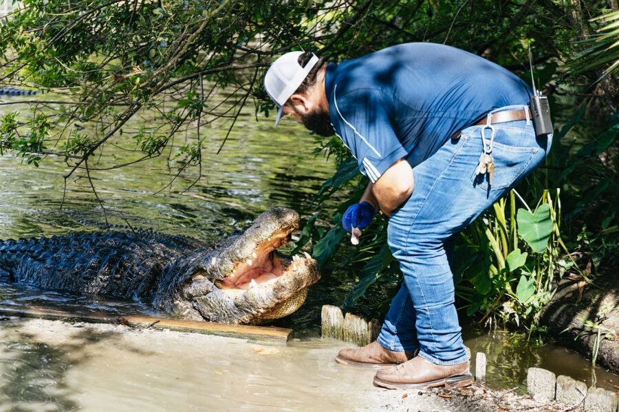 Orlando: Gatorland Skip-the-Line Ticket - Gator mouth entrance and the animal walk that feels like a preserve