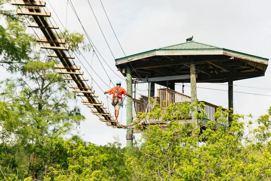 Orlando: Gatorland Skip-the-Line Ticket - The Gator Jumparoo Show, where size and timing hit hardest