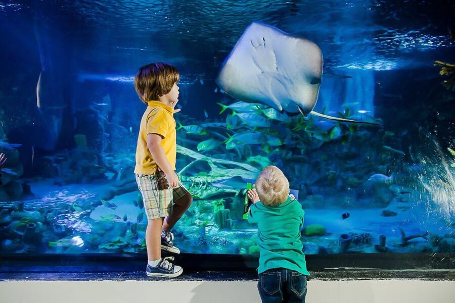 Orlando: Madame Tussauds and SEA LIFE Aquarium Combo Ticket - Getting There on International Drive, Plus the Parking Advantage