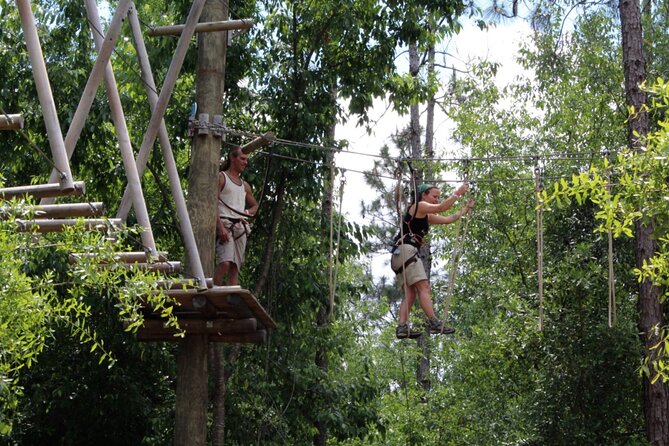 Orlando Tree Trek Adventure Park - Arrival Ritual: Waiver, Harness, and the Demo Course That Sets You Up