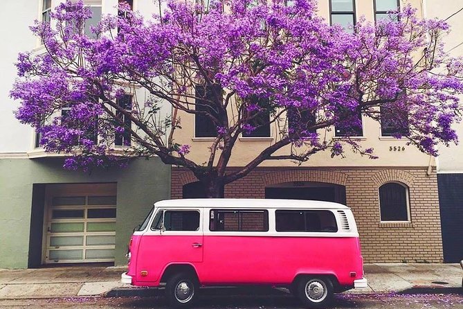 Painted Ladies San Francisco City Tour - A retro VW bus is a smart way to get your bearings in San Francisco