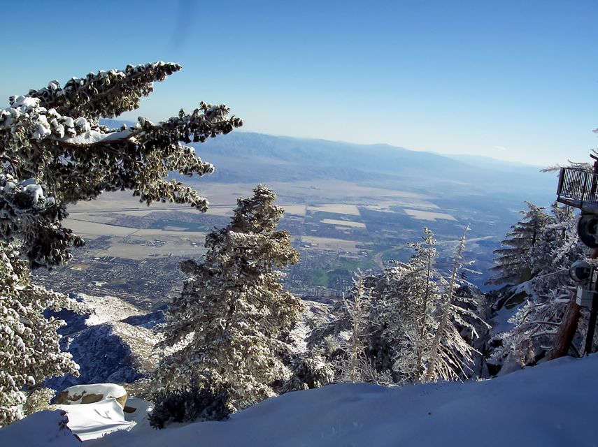 Palm Springs: Aerial Tramway Round-Trip Ticket - Getting there and getting your timed tram: the easy part that saves you stress
