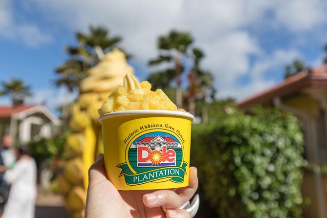 Pearl Harbor, Dole Plantation, and Polynesian Center from Waikiki - Key things I’d highlight before you book