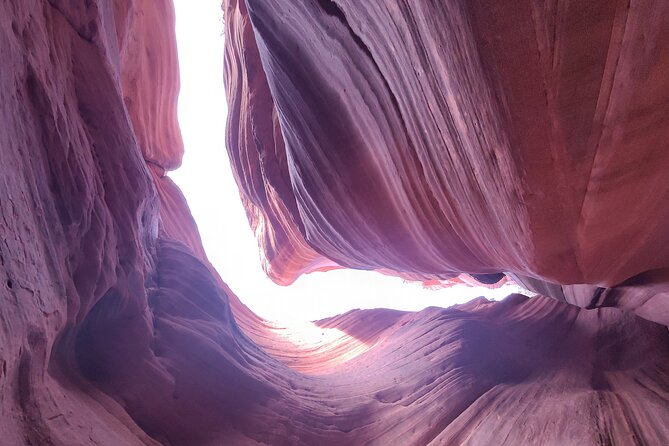 Peek-A-Boo Slot Canyon Tour UTV Adventure (Private) - Sandboarding time: the included chaos that makes it memorable