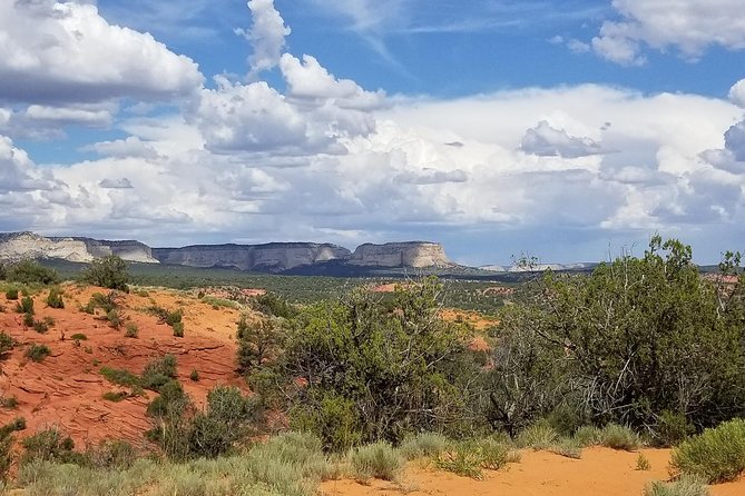 Peek-A-Boo Slot Canyon Tour UTV Adventure (Private) - Why this price can make sense for a 2-hour Zion hit