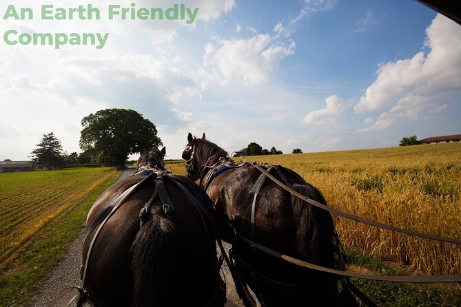 Philadelphia and Amish Country, 1-Day Tour from NYC - Elfreth’s Alley and the Philly panorama, Rocky Steps included