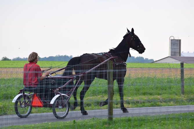 Premium Amish Country Tour including Amish Farm and House - Is it worth $38.95? Here is how I’d judge the value