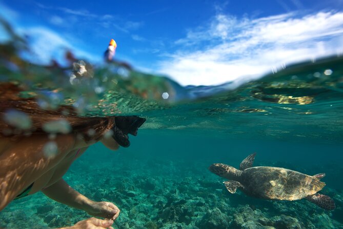Premium Oahu Circle Island Tour - Small Group, No Crowds - North Shore lunch at Fumis shrimp truck, plus the vegetarian option