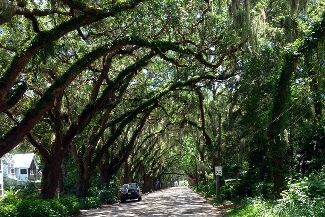 Private Guided Historic Electric Cart Tour of St. Augustine - Timing That Works: Morning or Afternoon, About 90 Minutes