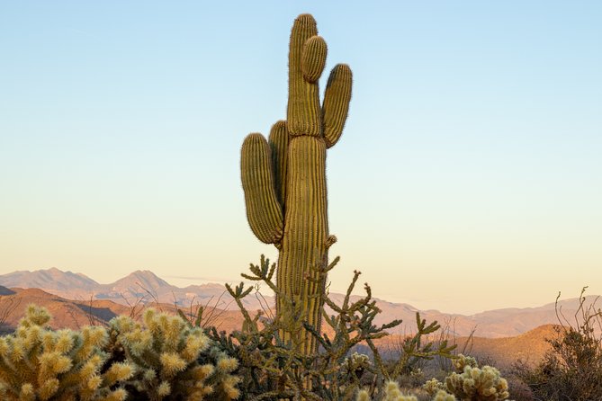Private Scottsdale Off-Road Jeep Tour - Price and value: is $219 per person worth it?