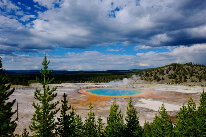 Private Yellowstone Tour: ICONIC Sites, Wildlife, Family Friendly Hikes + lunch - Hayden Valley: your best shot at the Yellowstone animal lineup