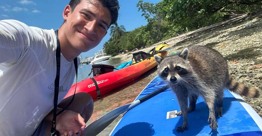 Raccoon Island: Exploration on SUP/Kayak - Price and Value: Is $99 Worth It for 2.5 Hours?