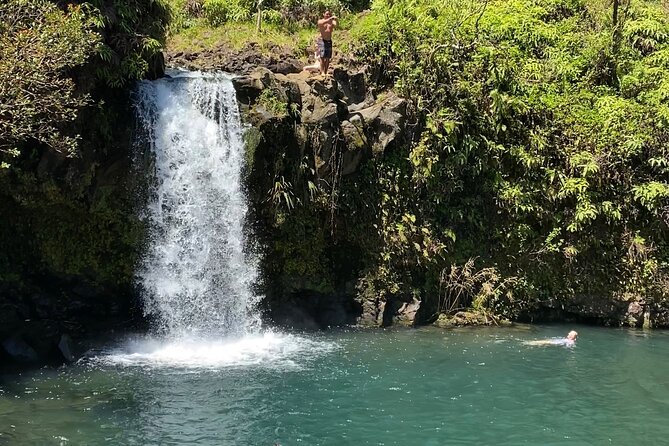 Rainforest Tour to Hana and Beyond - Why this Road to Hāna day feels different than DIY driving