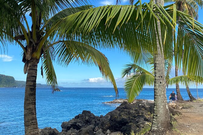 Rainforest Tour to Hana and Beyond - Quick early stops: rainbow eucalyptus, Huelo, and coastline lookouts