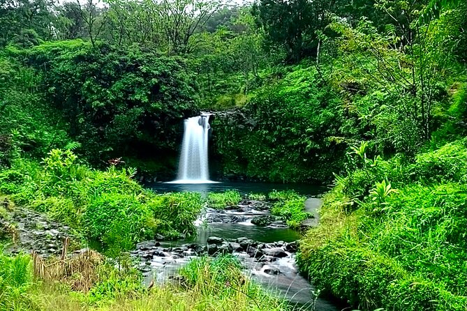 Rainforest Tour to Hana and Beyond - Price and value: what $210 buys you in real time