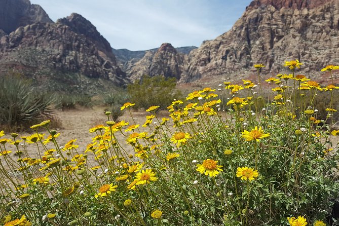Red Rock Canyon eBike Half-Day Tour - Guides John and Alison: instruction, safety, and local context