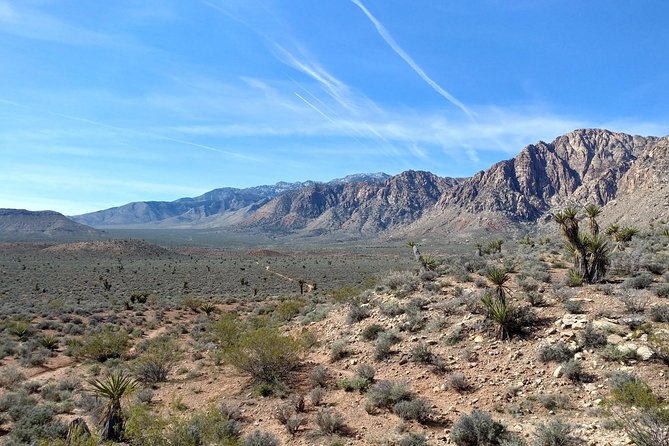 Red Rock Canyon Hike with Transport from Las Vegas - Who this tour fits best