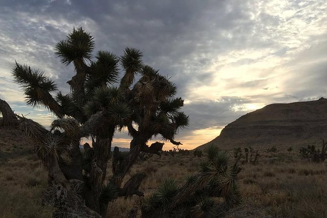 Red Rock Canyon Sunset Horseback Ride and Barbeque Dinner - Why Red Rock at Sunset Is the Best Kind of Vegas Escape