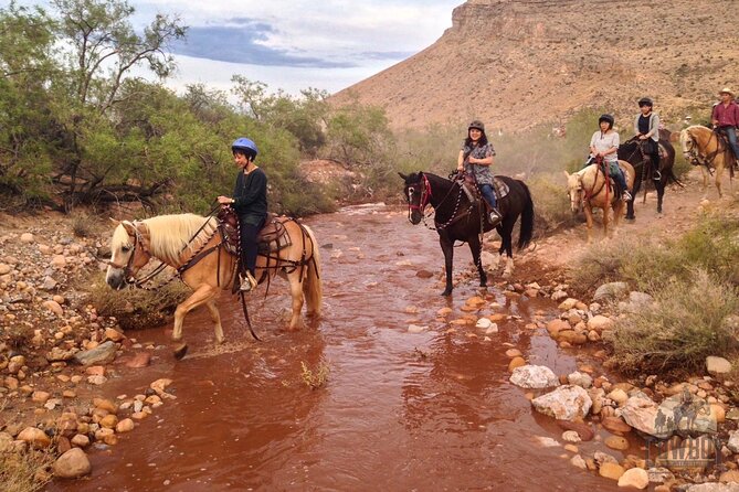 Red Rock Canyon Sunset Horseback Ride and Barbeque Dinner - The BBQ by Campfire: What You Eat, What It Costs You in Value Terms