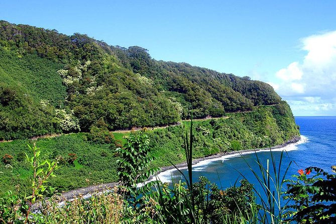 Road to Hana Adventure Maui Tour with Lunch - Hana Farms lunch in a real garden setting, with pre-set options