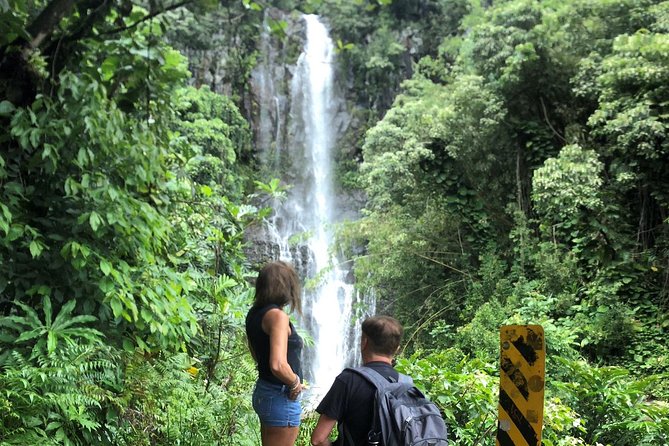 Road to Hana: Full-Day Scenic Drive with Blacksand & Waterfalls - Price, meals, and what you actually get for $209.99