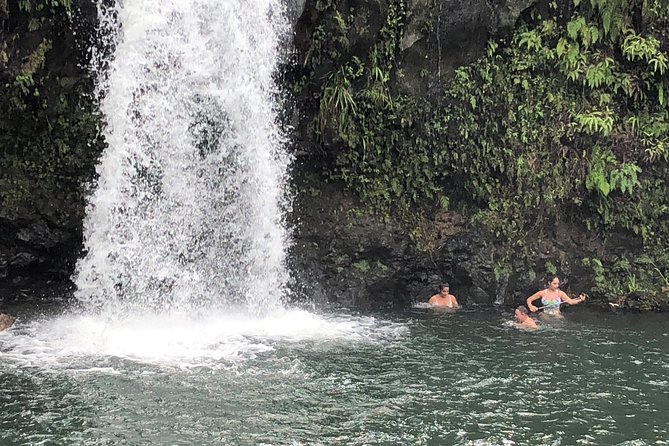 Road to Hana: Full-Day Scenic Drive with Blacksand & Waterfalls - Who this tour suits best, and who might rethink it