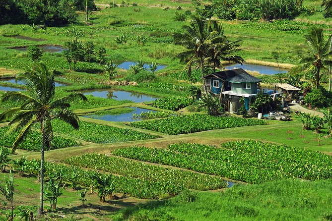 Road to Hana Tour with Lunch and Pickup - Ke‘anae Point: a good first look at Hana’s coast