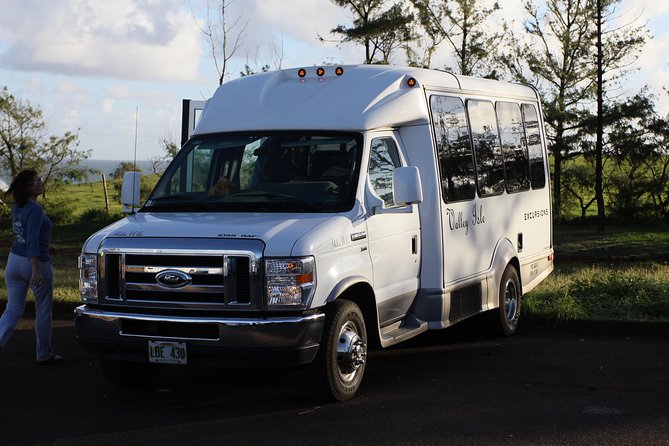 Road to Hana Tour with Lunch and Pickup - Puaa Kaa State Park: freshwater waterfall swim, when conditions allow