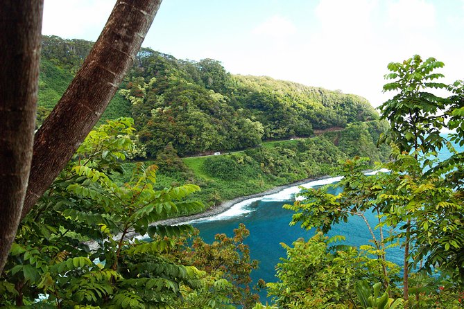 Road to Hana Tour with Lunch and Pickup - Rest stops, group size, and why pacing affects the whole day