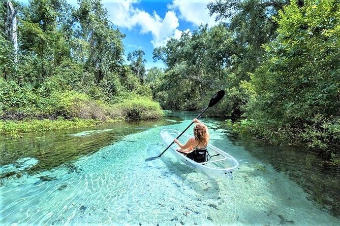 Rock Springs 2-Hour Glass Bottom Guided Kayak Eco Tour - Emerald Cut Magic: Why a Glass-Bottom Kayak Feels Like a Freshwater Safari