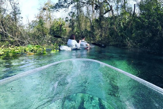 Rock Springs 2-Hour Glass Bottom Guided Kayak Eco Tour - The Platform Stop: Swim, Rope Swing, and the Hidden Jump Option