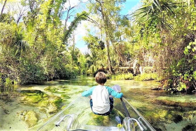 Rock Springs 2-Hour Glass Bottom Guided Kayak Eco Tour - Paddling Effort: What the Upstream Stretch Feels Like